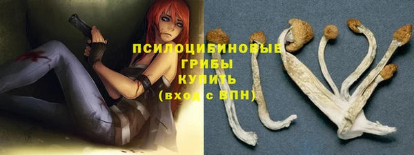 прущий лед Богданович