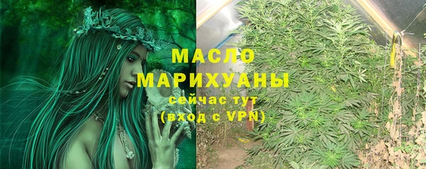 прущий лед Богданович