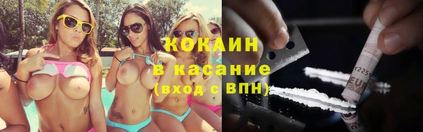прущий лед Богданович