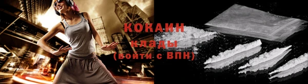 прущий лед Богданович