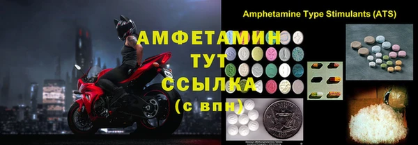 прущий лед Богданович