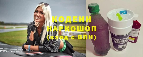 прущий лед Богданович