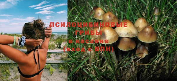 прущий лед Богданович