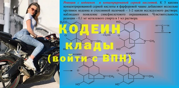 прущий лед Богданович